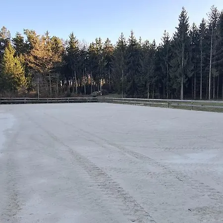 Pferdeparadies Untergruenhagen Bad Fallingbostel