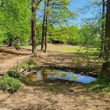 Pferdeparadies Untergruenhagen *