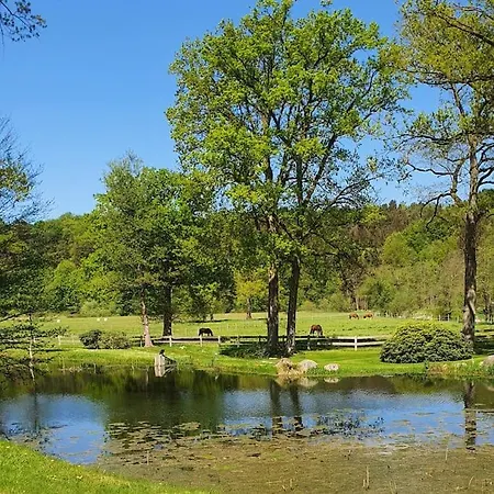 Pferdeparadies Untergruenhagen Bad Fallingbostel