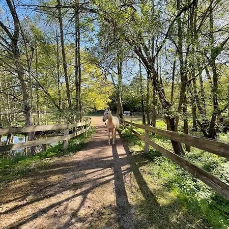 Apartamento Pferdeparadies Untergruenhagen