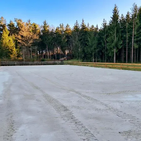 דירה Pferdeparadies Untergruenhagen באד פאלינגבוסטל