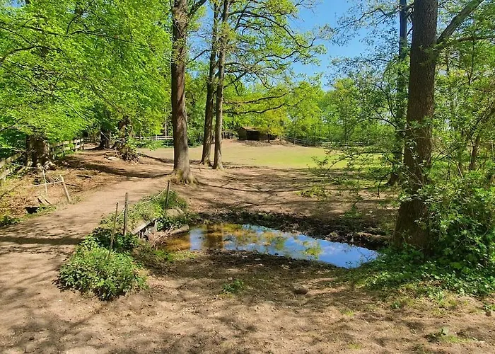 Pferdeparadies Untergruenhagen *