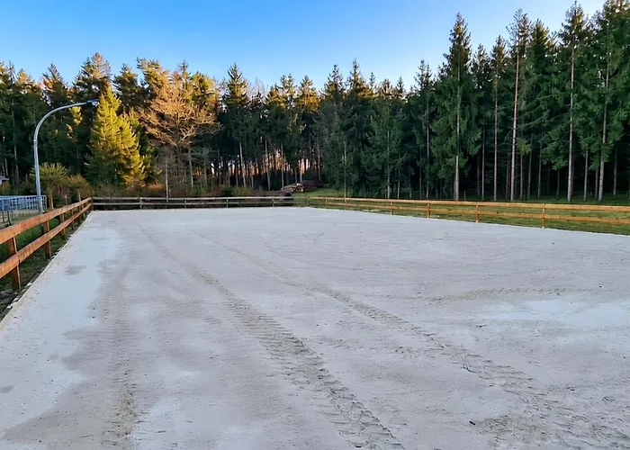 דירה Pferdeparadies Untergruenhagen באד פאלינגבוסטל