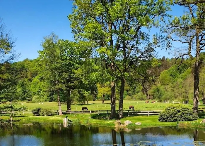 Pferdeparadies Untergruenhagen באד פאלינגבוסטל