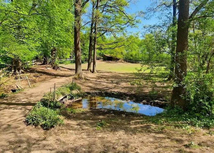 Pferdeparadies Untergruenhagen דירה באד פאלינגבוסטל